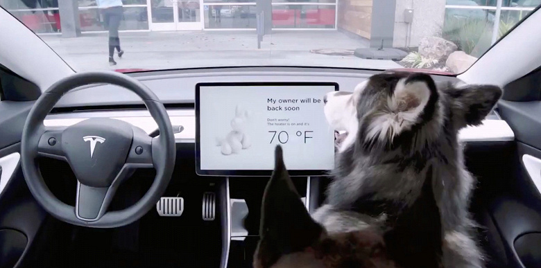 По просьбам пользователей: Tesla добавила своим автомобилям «Собачий режим»