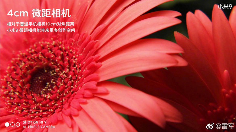 Характеристики камер Xiaomi Mi 9: датчики разрешением 48, 12, 16 и 20 Мп, двухкратный оптический зум и макро (+ новые примеры фото)