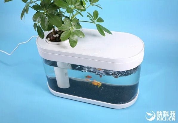 Представлен необычный аквариум Xiaomi Fish Tank