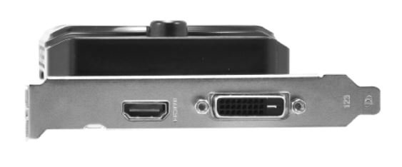 По одному вентилятору и два или три видеовыхода: фото и характеристики видеокарты GeForce GTX 1650 в исполнении Palit, Gainward и Asus