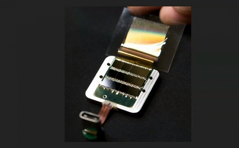 Эксперименты над людьми начнутся в следующем году. Илон Маск рассказал о достижениях и будущем компании Neuralink