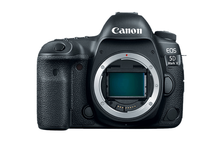 Новые короли фотографии на подходе. Canon готовит к выпуску EOS 5D Mark V и EOS R Mark II