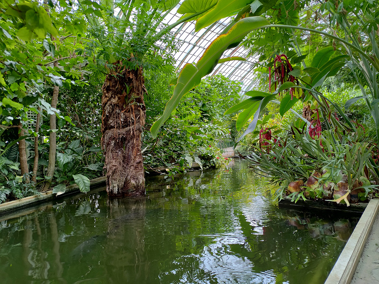 Фотографирует лучше, чем Google Pixel 3 и iPhone XR. DxOMark во второй раз оценили Asus ZenFone 6