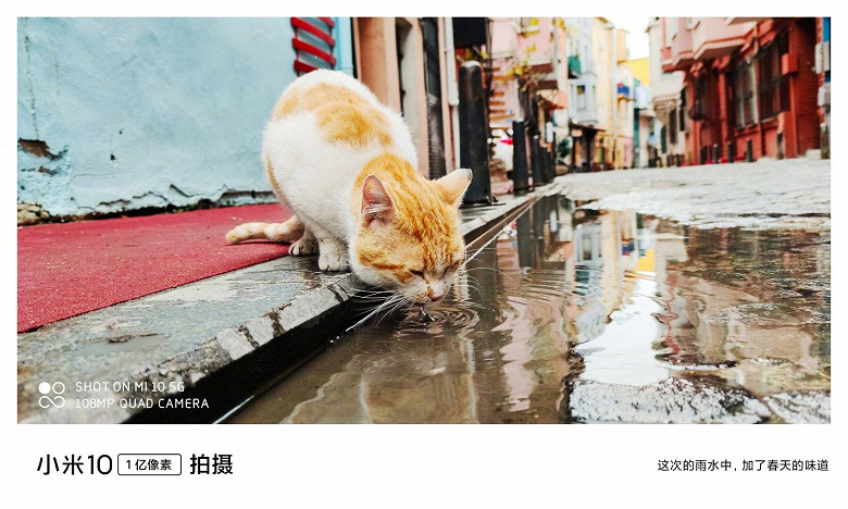 Xiaomi показала, на что способна камера Xiaomi Mi 10