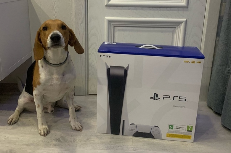 Неразбериха с Sony PlayStation 5 в России. Почему российские ритейлеры не справились Неразбериха с Sony PlayStation 5 в России. Почему российские ритейлеры не справились