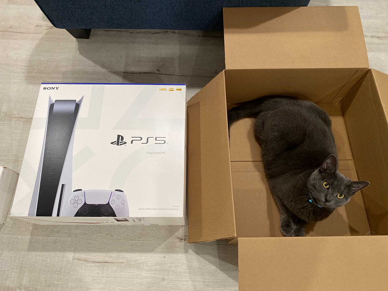 Перед покупателями Sony PlayStation 5, получившими кошачий корм вместо приставки, извинились