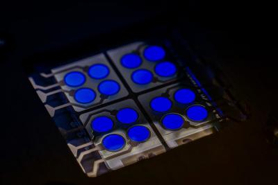 У Cynora готов синий флуоресцентный излучатель OLED, который на 15% эффективнее современных