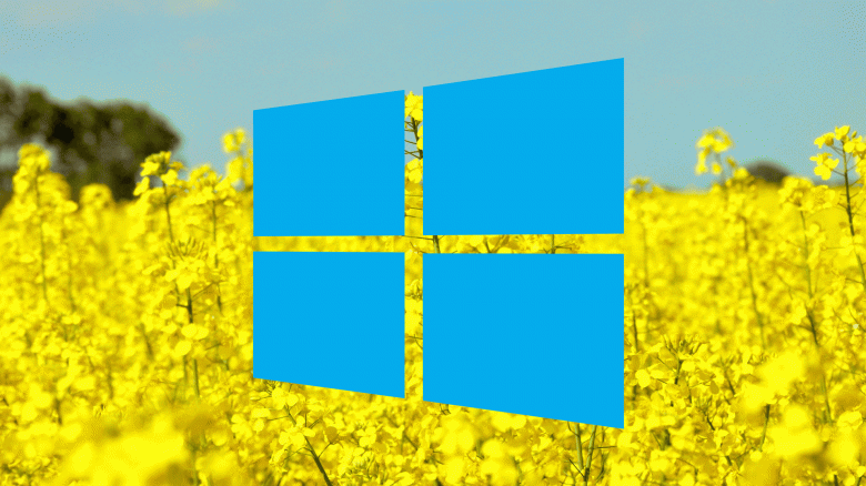 Стало известно, когда мы получим очередное крупное обновление Windows 10