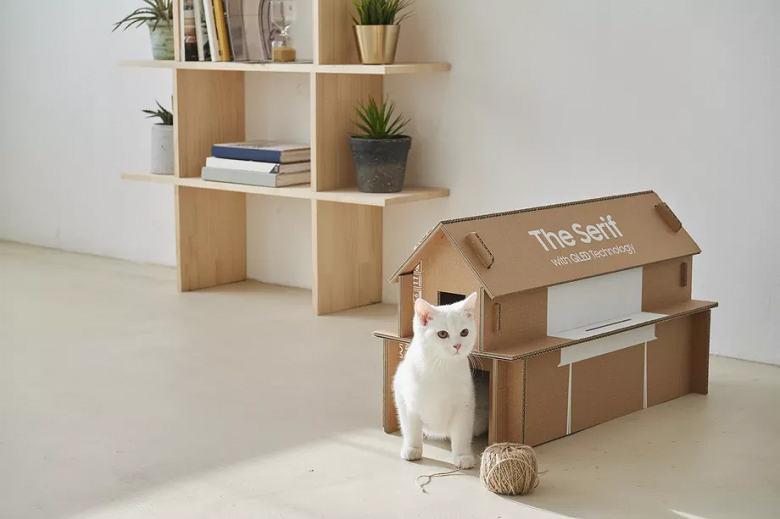 Это прорыв. Коробки из-под телевизоров Samsung превращаются в домик для котиков