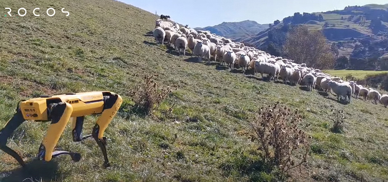Робот Boston Dynamics Spot пасёт овец, проверяет урожай и валяется в траве в новом видео