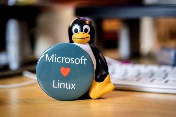 «Linux — это рак». Microsoft признала ошибку прошлого в отношении open source