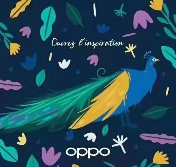 В середине декабря Oppo представит складной смартфон с 8-дюймовым экраном, а в начале следующего года – флагман на Snapdragon 898