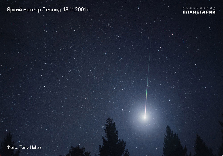 Up to 15 meteors per hour.  Tonight is the main starfall of November