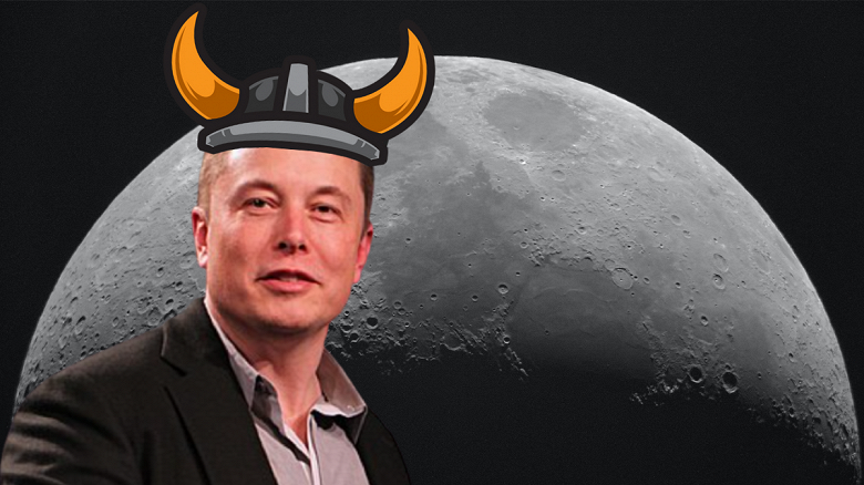 Elon Musk inflated the rates of three cryptocurrencies at once: they are all associated with the Vikings