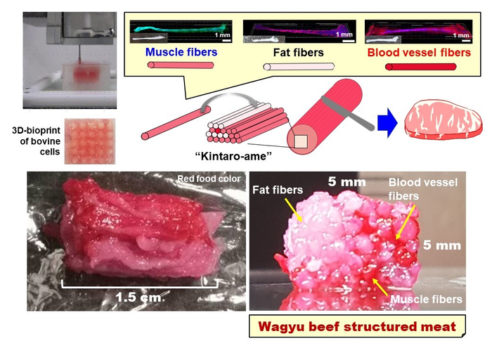 В Японии начали печатать мраморную говядину Вагю на 3D-принтере