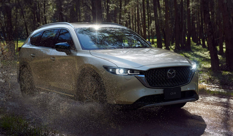 Mazda has updated the large crossover CX-8