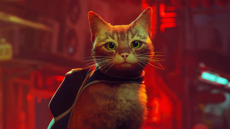 Игра Stray про кота превзошла God of War и стала самой популярной игрой 2022 года в Steam