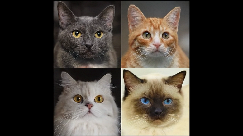 Новая нейросеть Nvidia может преобразовывать двумерные изображения в трёхмерные объекты — в том числе лица людей и кошачьи мордочки