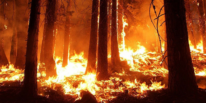 Природные пожары в Австралии вызвали сильнейший нагрев стратосферы за последние 30 лет