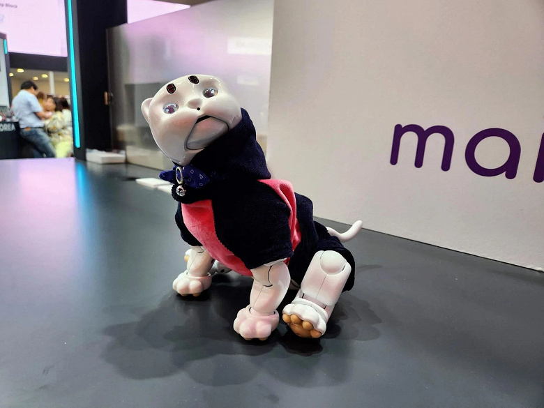 At IFA 2022, two cute robot cats were shown at once