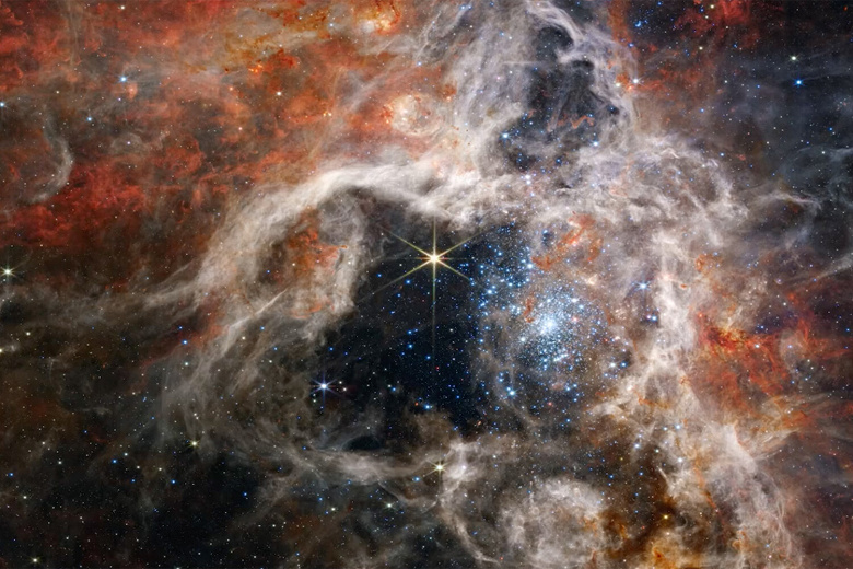 Канадское космическое агентство показало туманность Тарантул, снятую телескопом «Джеймс Уэбб»