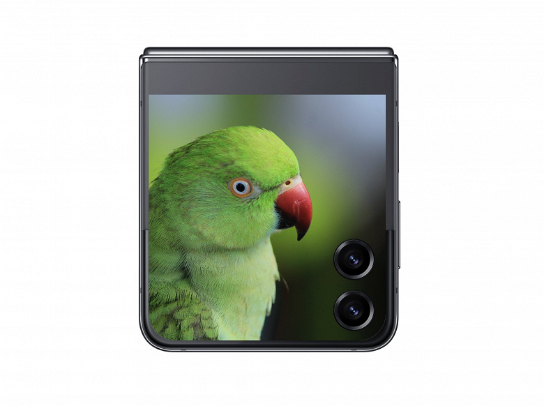 Samsung Galaxy Z Flip5 показали на первом качественном изображении