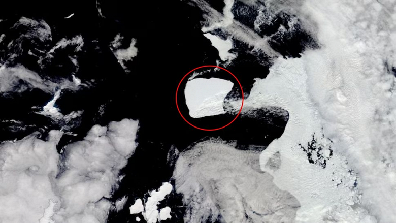 Самый большой в мире: айсберг размером с три Нью-Йорка ушёл в свободное плавание, его отслеживают со спутников
