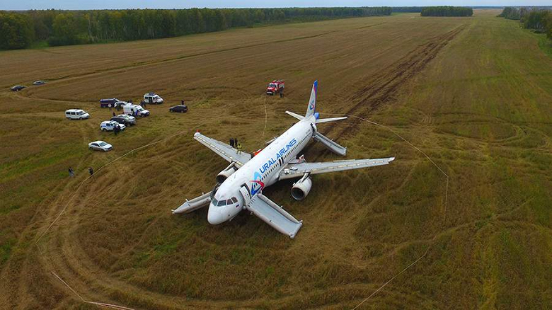 Власти оказались недовольны результатами. Расследование посадки самолета «Уральских авиалиний» в пшеничном поле возобновили