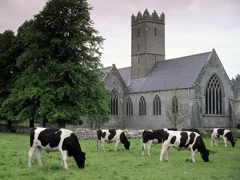 Пятничное: Ирландский фермер научился добывать биткойны с помощью коровьего навоза