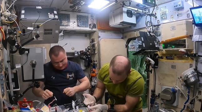 Российские космонавты проводят эксперимент «Нейроиммунитет» на МКС: замораживают свою кровь, чтобы узнать, как космос влияет на здоровье космонавтов для будущих космических миссий