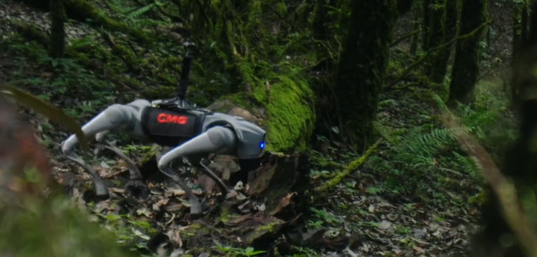 Робота с 8K-камерой отправили исследовать «Лес смерти» или «Запретную зону на Земле»