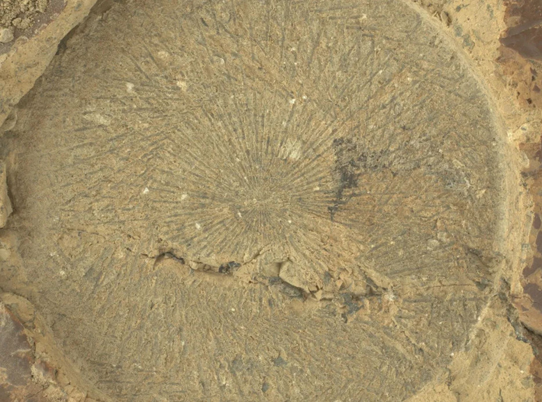 Марсоход Perseverance проанализировал 30-й марсианский камень и установил рекорд по дальности автономной поездки &mdash; больше 400 метров за один день. 