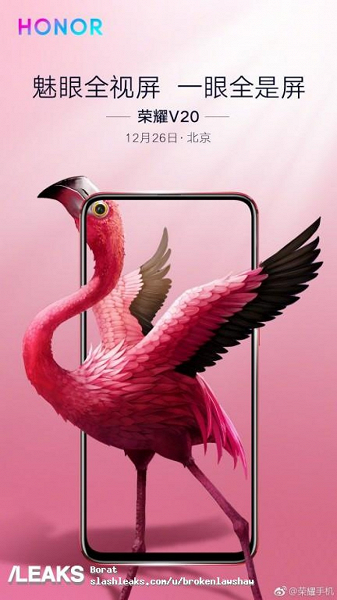 Honor изящно обыграла дырявый экран смартфона Honor View 20 при помощи... экзотических птиц