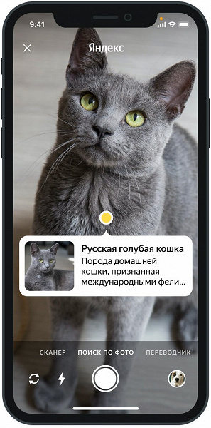 Как Включить Поиск По Фото В Яндексе