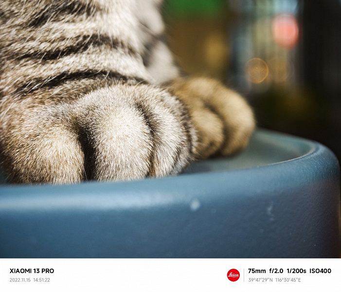 Потрясающие фото, на которые способен Xiaomi 13 Pro. Примеры снимков, сделанных на 75-миллиметровый объектив камеры Leica