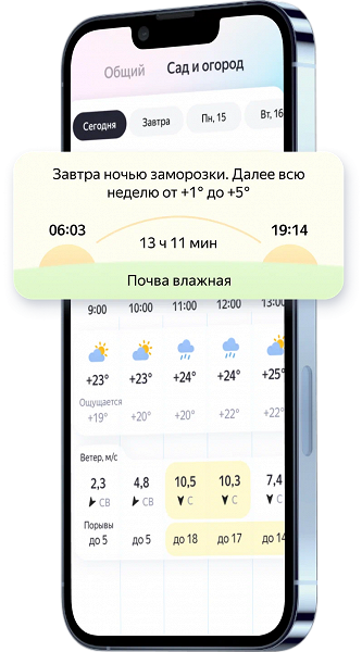 Сажать картошку на майские или ограничиться шашлыком? В «Яндекс Погоде» появились тематические прогнозы