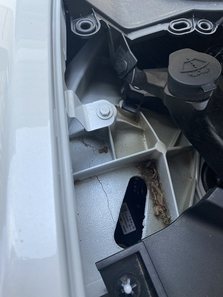 «Это нормально? Илон, есть мысли по поводу такого качества сборки ...