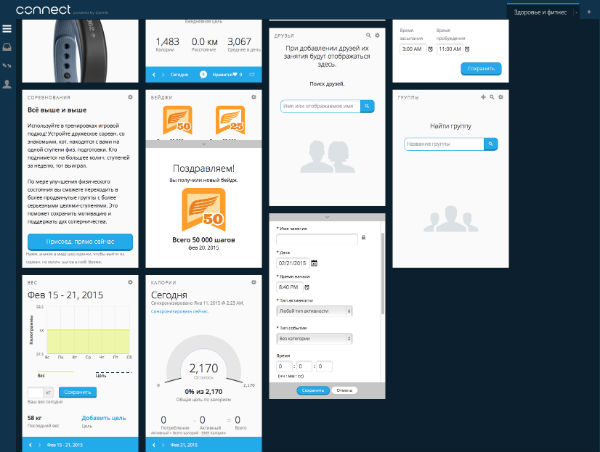 Скриншот веб-версии сервиса Garmin Connect