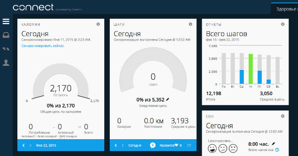 Скриншот веб-версии сервиса Garmin Connect