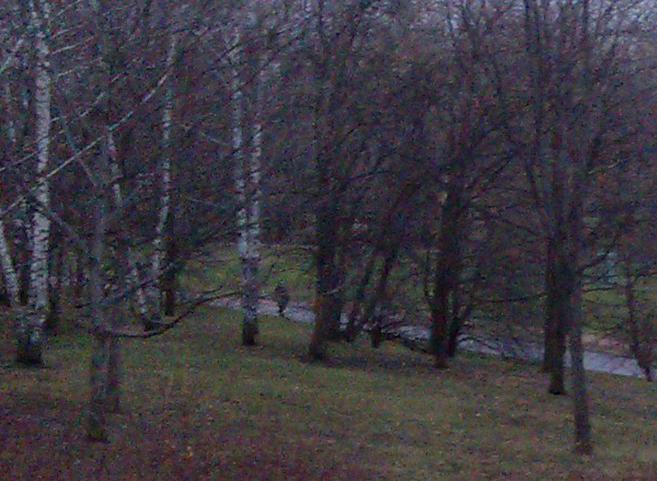 Снимок на камеру HP Pre 3