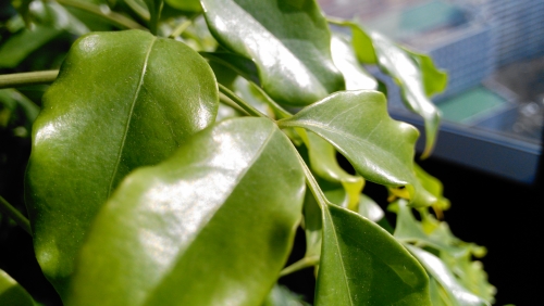 обзор смартфона Acer S500