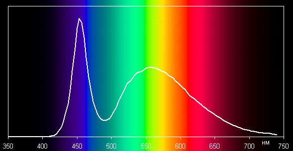 ����� ����������� ����� XAmazon Kindle Paperwhite. ������������ �������