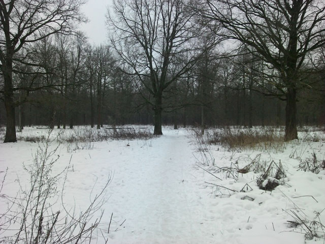 Обзор DNS SI4301. Демонстрационный снимок