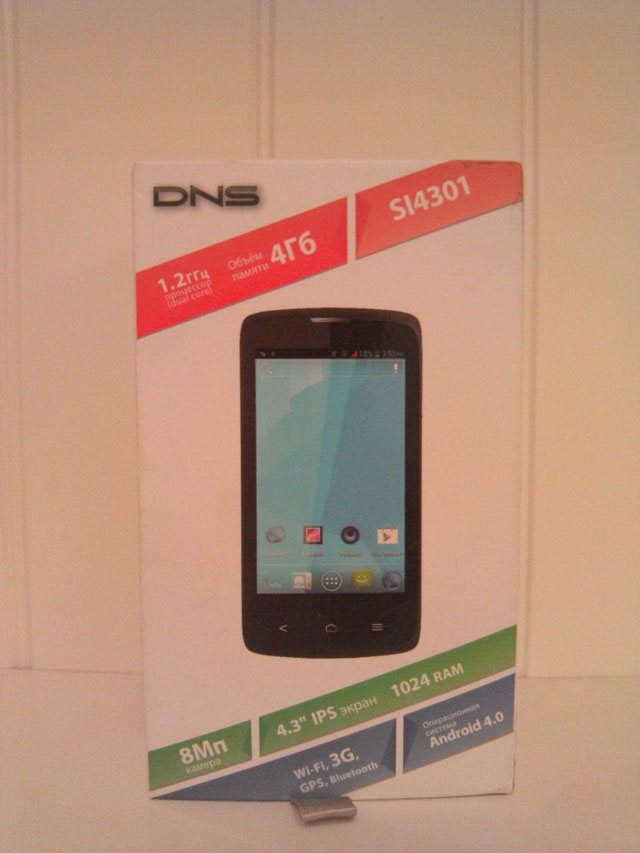 Обзор DNS SI4301. Демонстрационный снимок