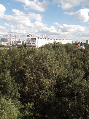 смартфон Elephone S3