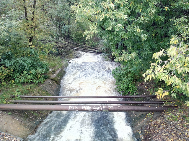 Обзор Fly IQ444 Diamond 2. Демонстрационный снимок