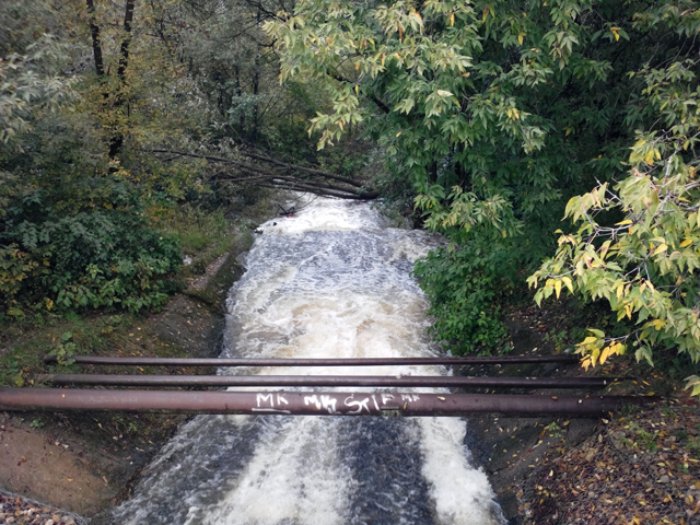 Обзор Fly IQ444 Diamond 2. Демонстрационный снимок