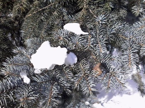 Highscreen Jet Duo пример снимка