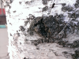 Обзор Windows Phone 8X by HTC