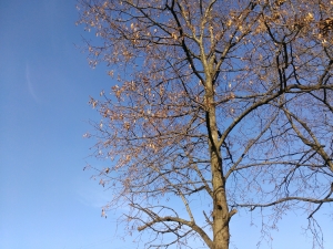 Обзор Windows Phone 8X by HTC